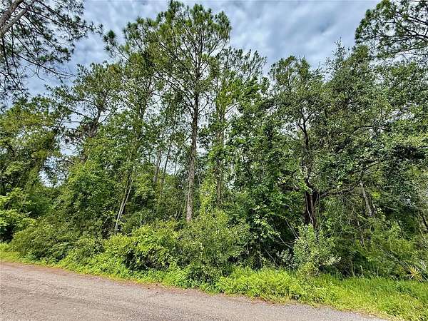 2.53 Acres of Residential Land for Sale in Wesley Chapel, Florida