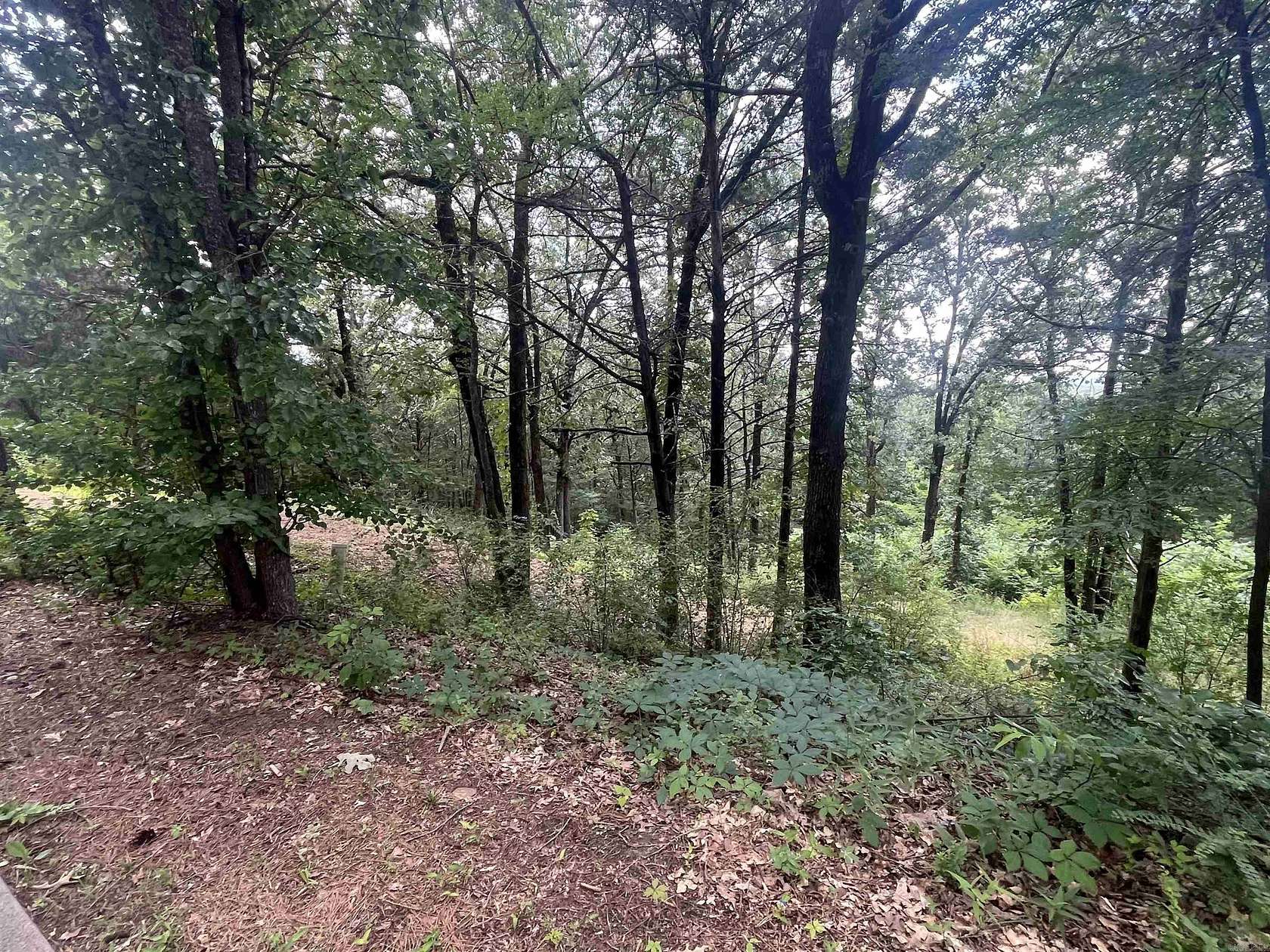 1 Acre of Residential Land for Sale in Conway, Arkansas