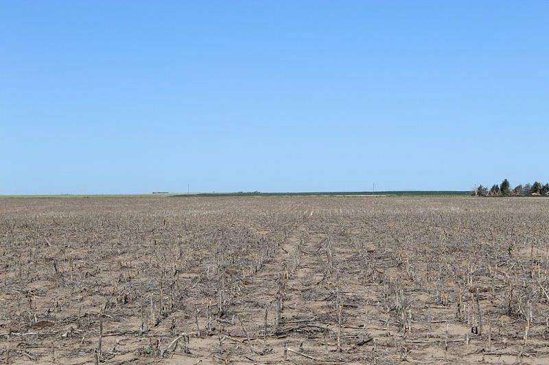 161 Acres of Land for Sale in Edson, Kansas