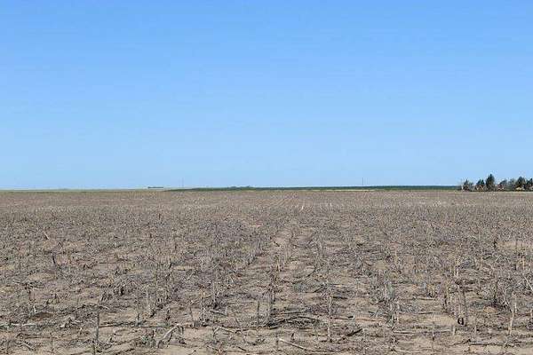 161 Acres of Land for Sale in Edson, Kansas