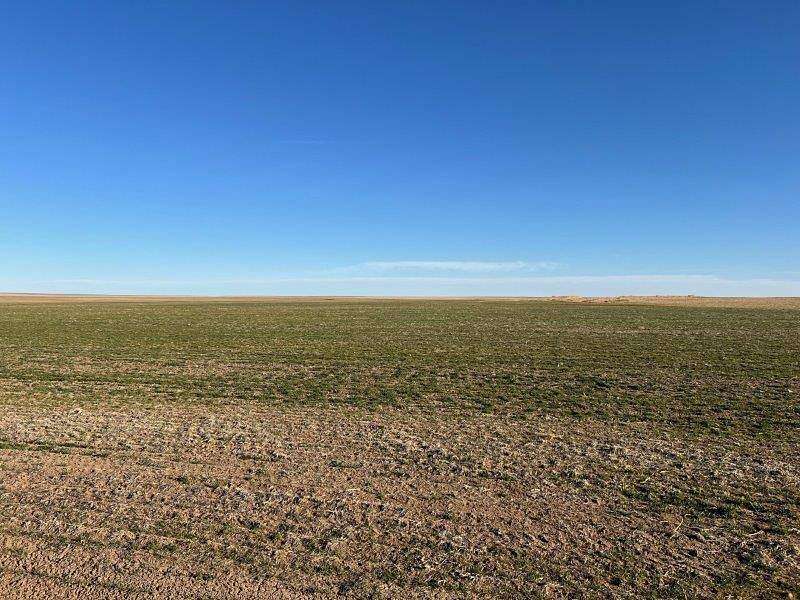 6,540 Acres of Agricultural Land for Sale in Eads, Colorado