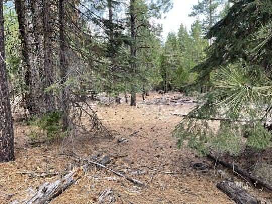 1 Acre of Residential Land for Sale in Alturas, California