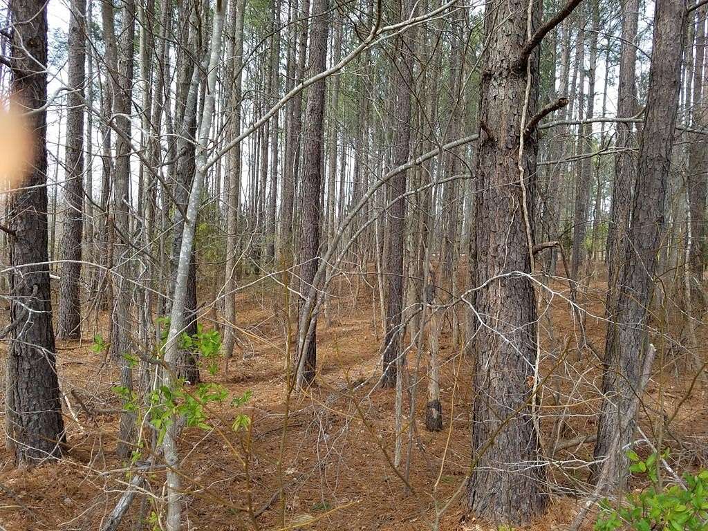 1 Acre of Commercial Land for Sale in Littleton, North Carolina
