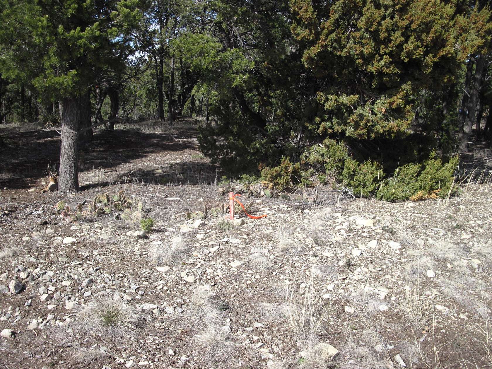 1.2 Acres of Land for Sale in Tijeras, New Mexico