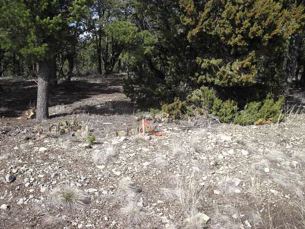 1.2 Acres of Land for Sale in Tijeras, New Mexico