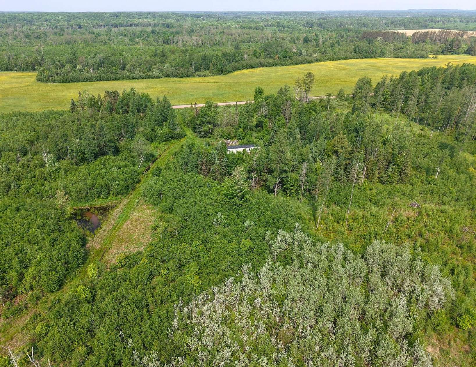 79 Acres of Recreational Land & Farm for Sale in Rib Lake, Wisconsin