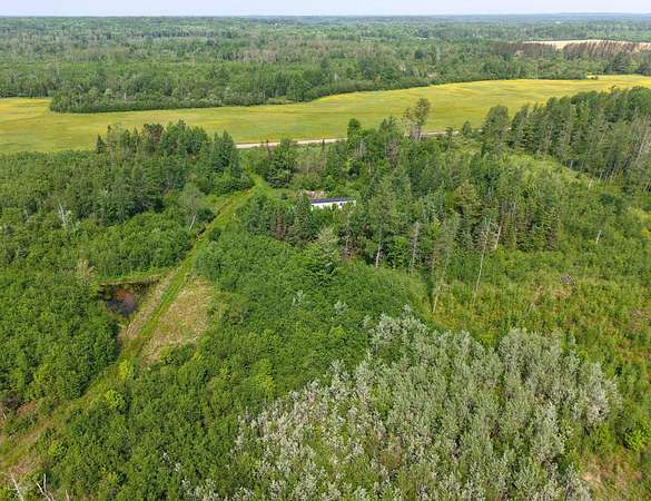 79 Acres of Recreational Land & Farm for Sale in Rib Lake, Wisconsin