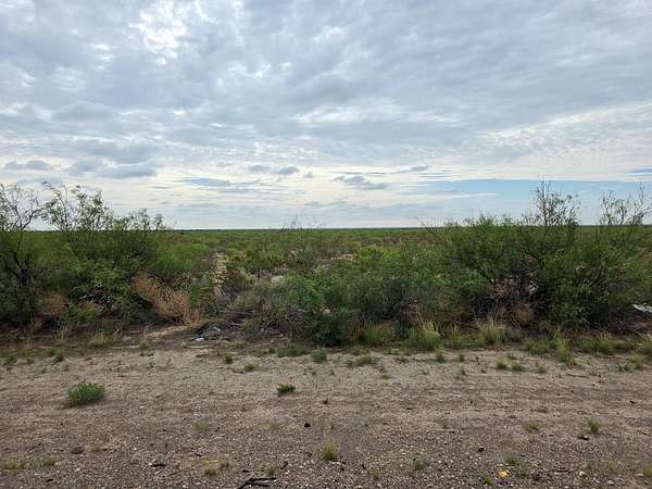 257 Acres of Agricultural Land for Sale in Pecos, Texas