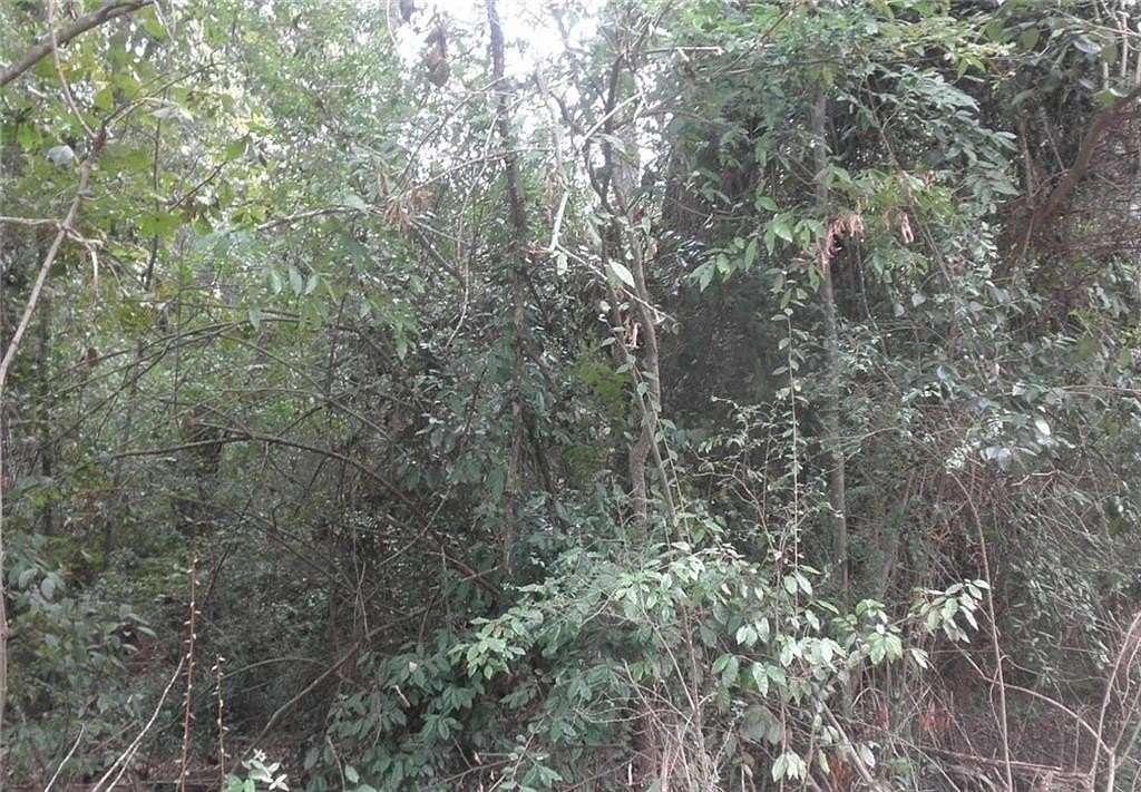 0.12 Acres of Residential Land for Sale in Monticello, Georgia