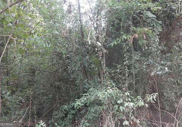 0.12 Acres of Residential Land for Sale in Monticello, Georgia
