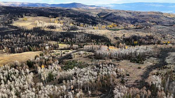 640 Acres of Land for Sale in Monroe, Utah