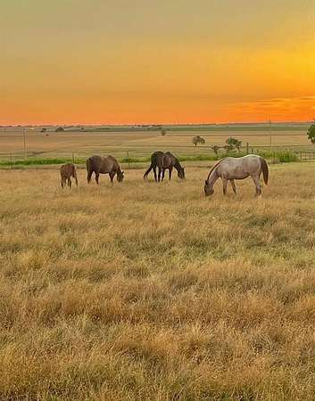 5 Acres of Land for Sale in Blair, Oklahoma