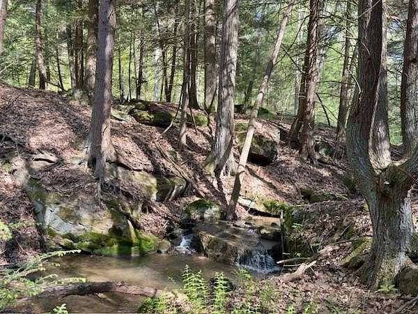 41.2 Acres of Recreational Land for Sale in Shippenville, Pennsylvania