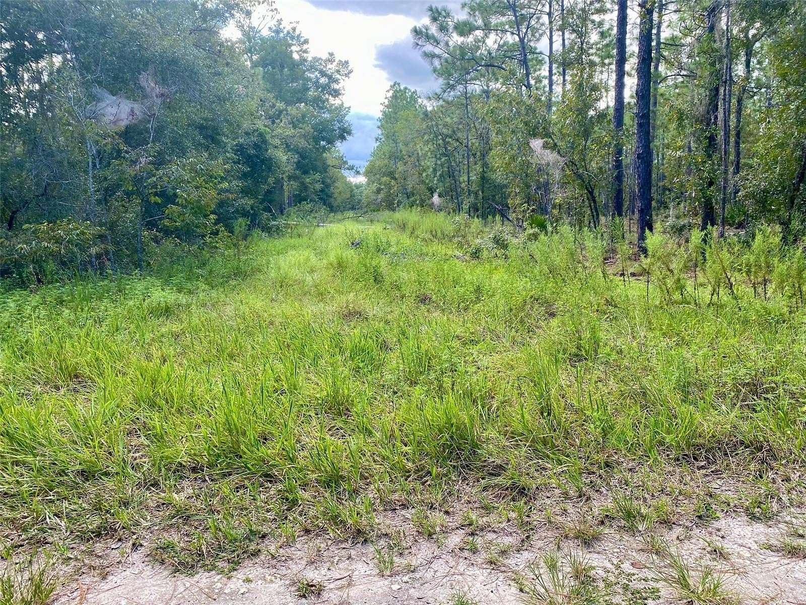 0.23 Acres of Residential Land for Sale in Ocala, Florida