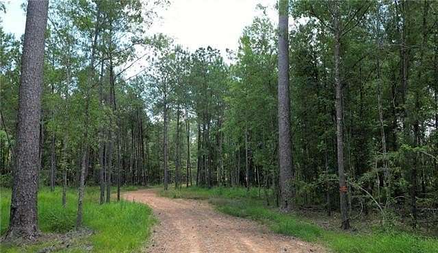 4.2 Acres of Residential Land for Sale in Independence, Louisiana