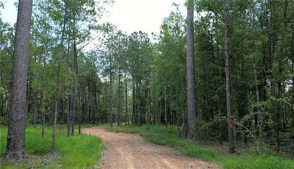 4.2 Acres of Residential Land for Sale in Independence, Louisiana