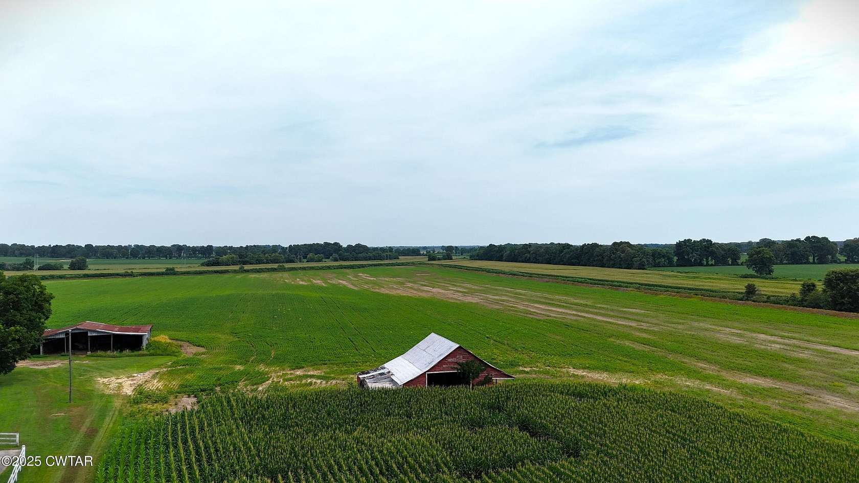 309 Acres of Agricultural Land for Sale in Alamo, Tennessee