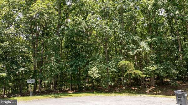 0.96 Acres of Residential Land for Sale in Mineral, Virginia