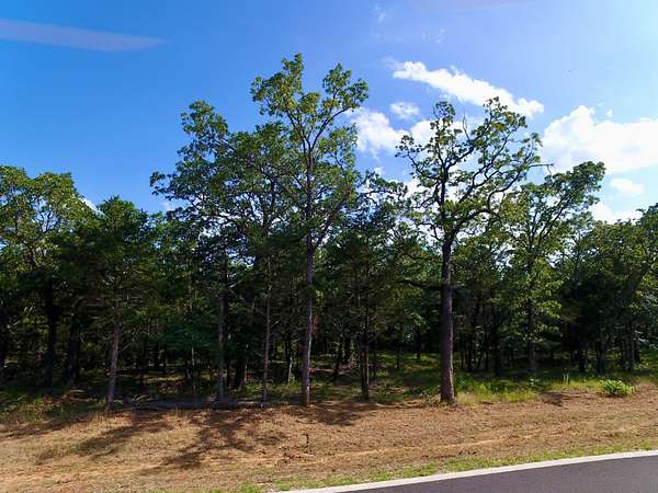 0.27 Acres of Residential Land for Sale in Gordonville, Texas