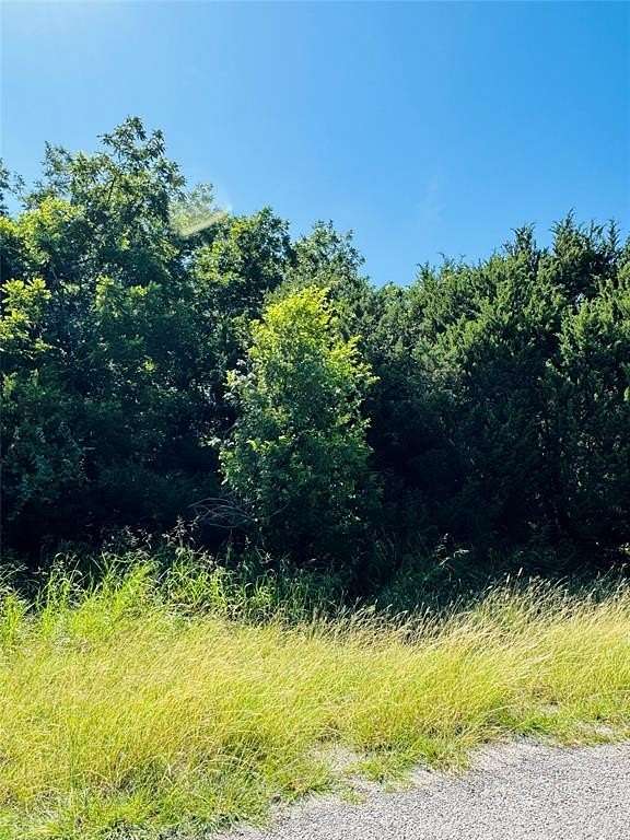 0.35 Acres of Residential Land for Sale in Whitney, Texas