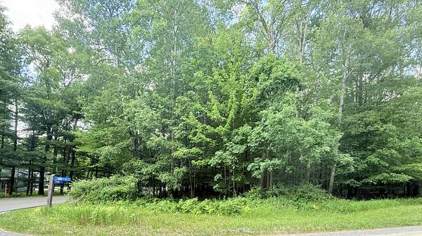 0.5 Acres of Land for Sale in Stanwood, Michigan