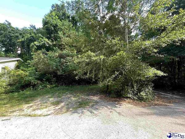 0.17 Acres of Residential Land for Sale in Bennettsville, South Carolina