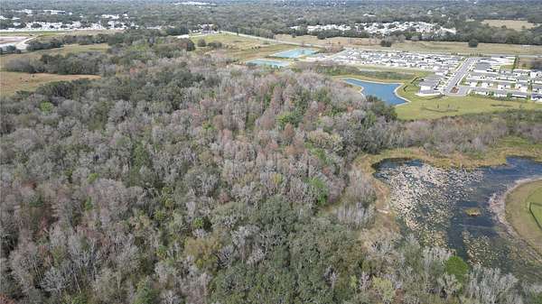 17 5 Acres of Recreational Land - Zephyrhills Fl 143565489