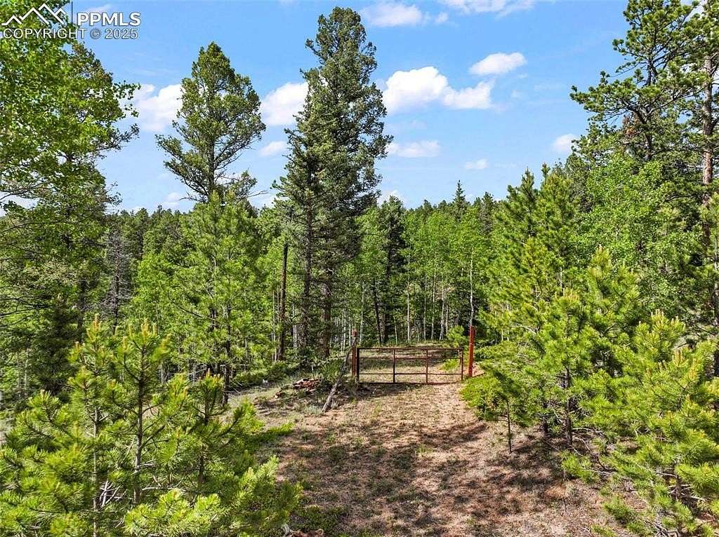 4 Acres of Residential Land for Sale in Divide, Colorado
