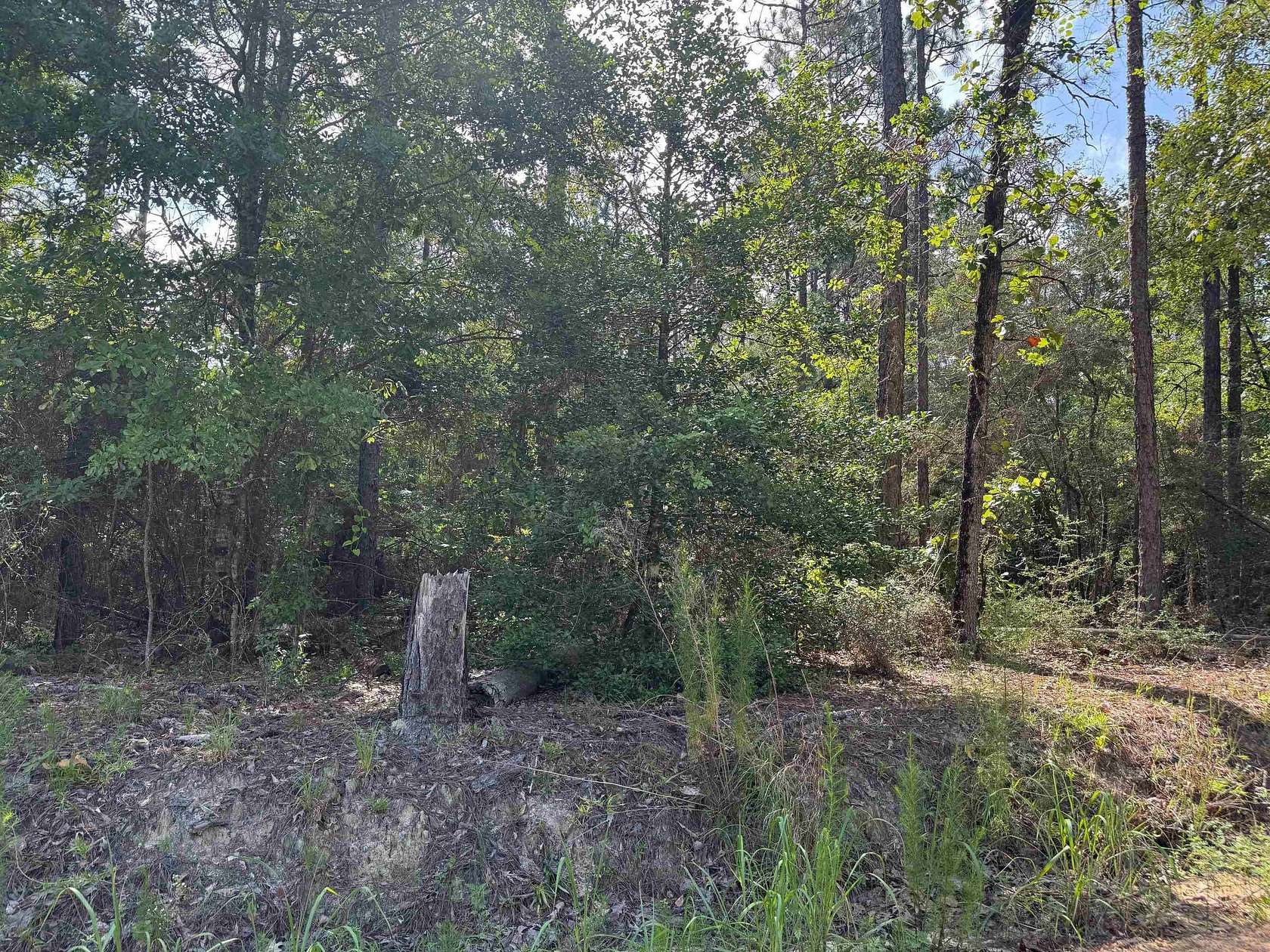 10.1 Acres of Land for Sale in Andalusia, Alabama