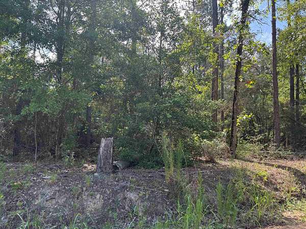 10.1 Acres of Land for Sale in Andalusia, Alabama