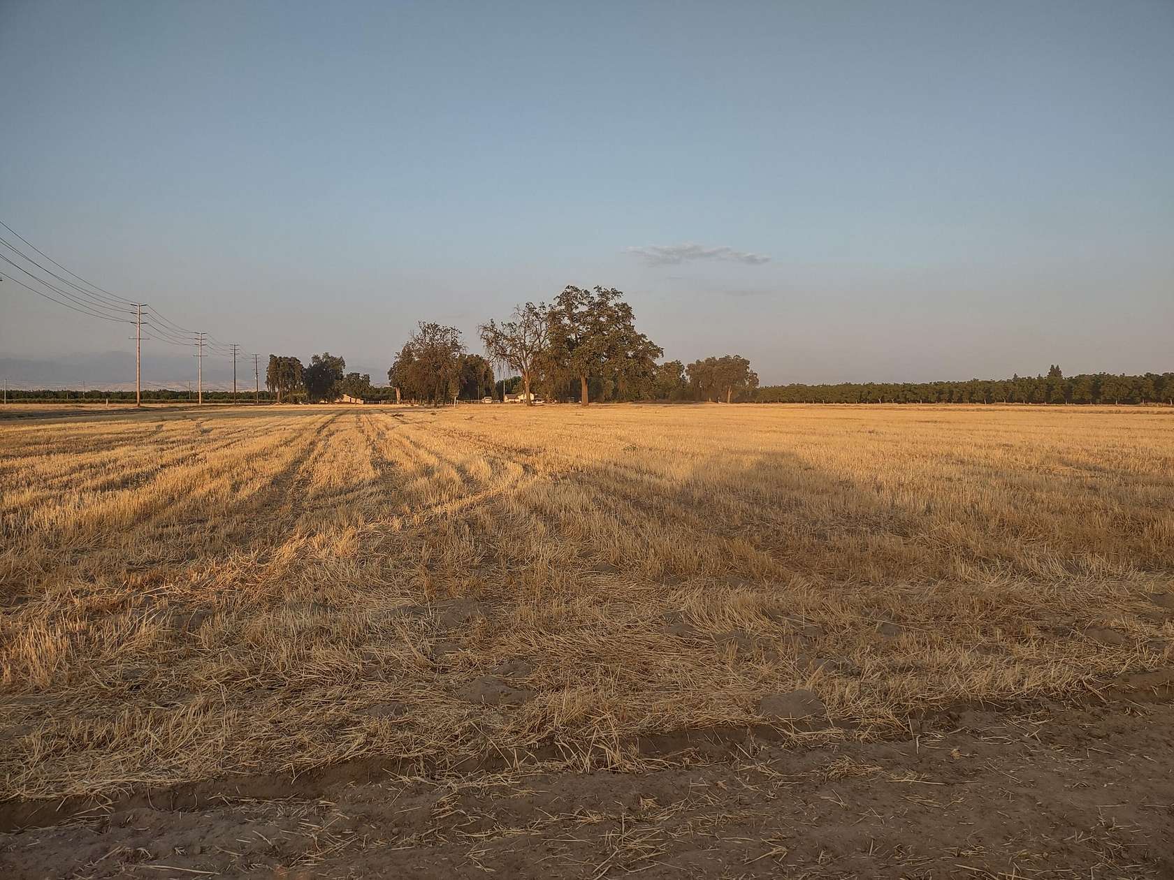19.4 Acres of Agricultural Land for Sale in Visalia, California