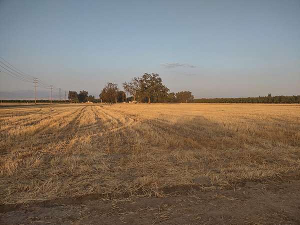 19.4 Acres of Agricultural Land for Sale in Visalia, California