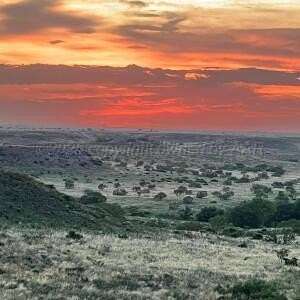 0.22 Acres of Residential Land for Sale in Amarillo, Texas
