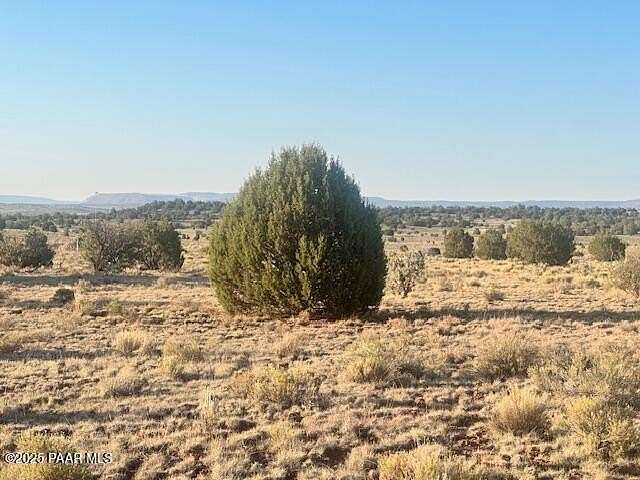 10 Acres of Land for Sale in Seligman, Arizona