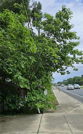 0.81 Acres of Commercial Land for Sale in Oxford, Florida