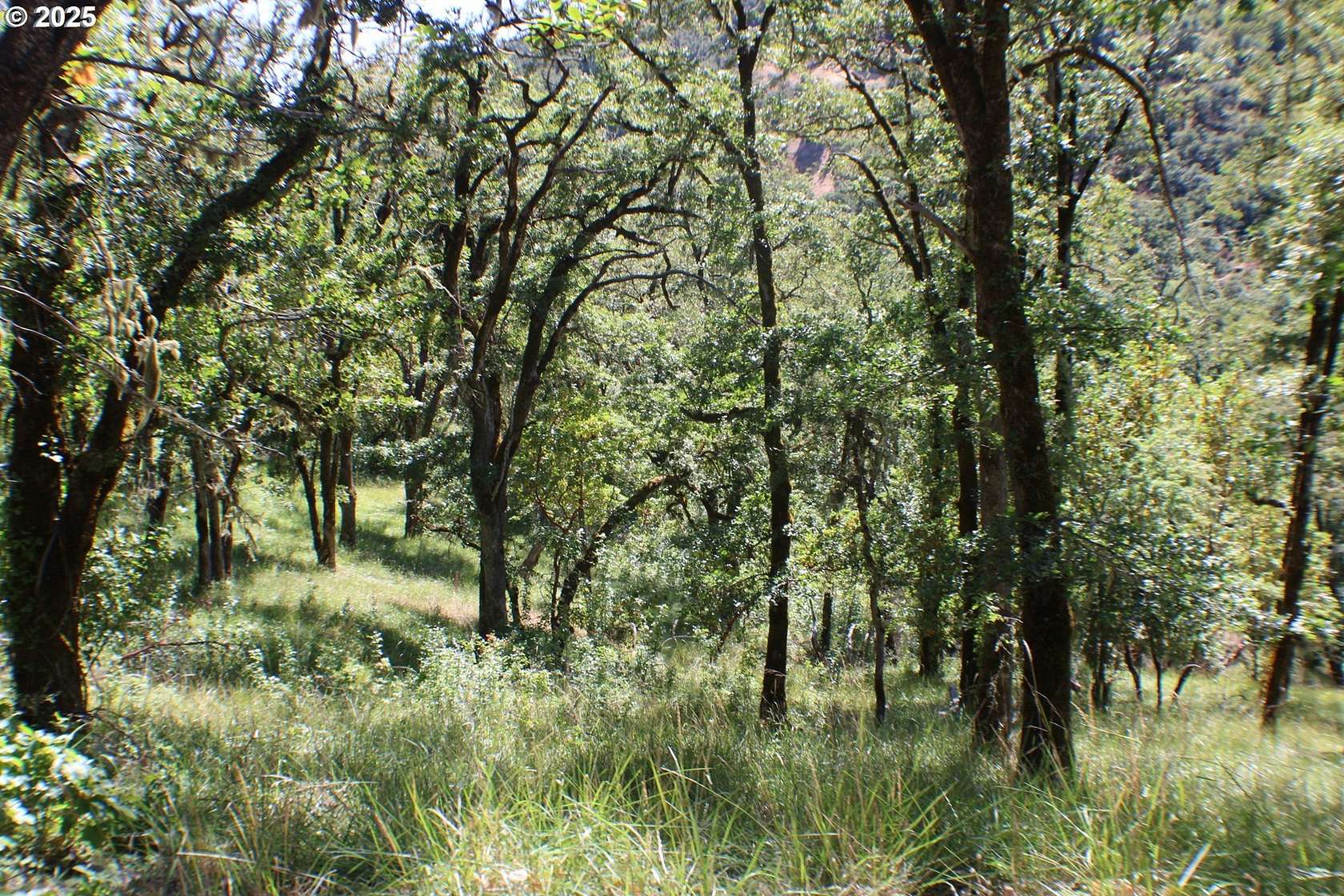 2 Acres of Residential Land for Sale in Roseburg, Oregon