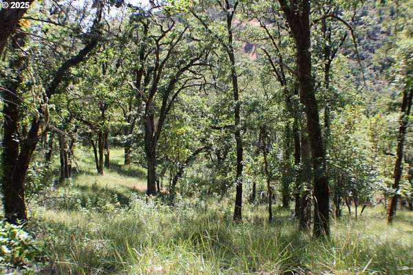 2 Acres of Residential Land for Sale in Roseburg, Oregon