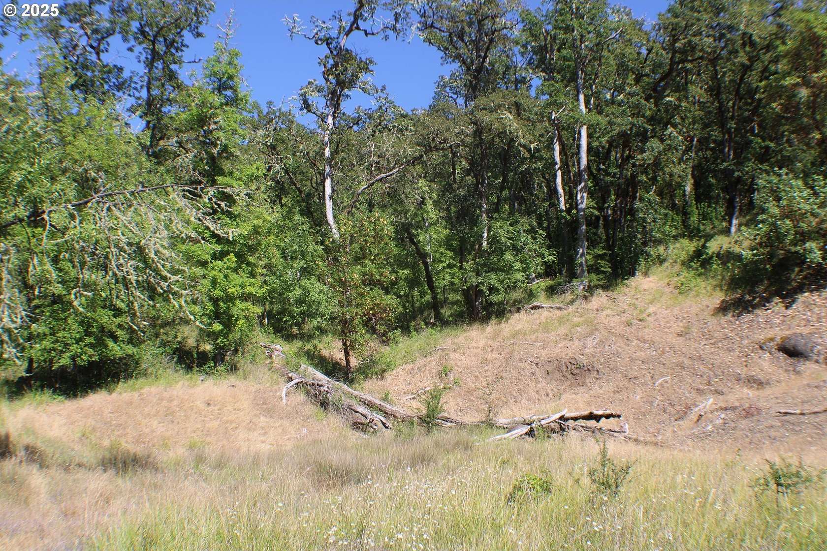 2.4 Acres of Residential Land for Sale in Roseburg, Oregon