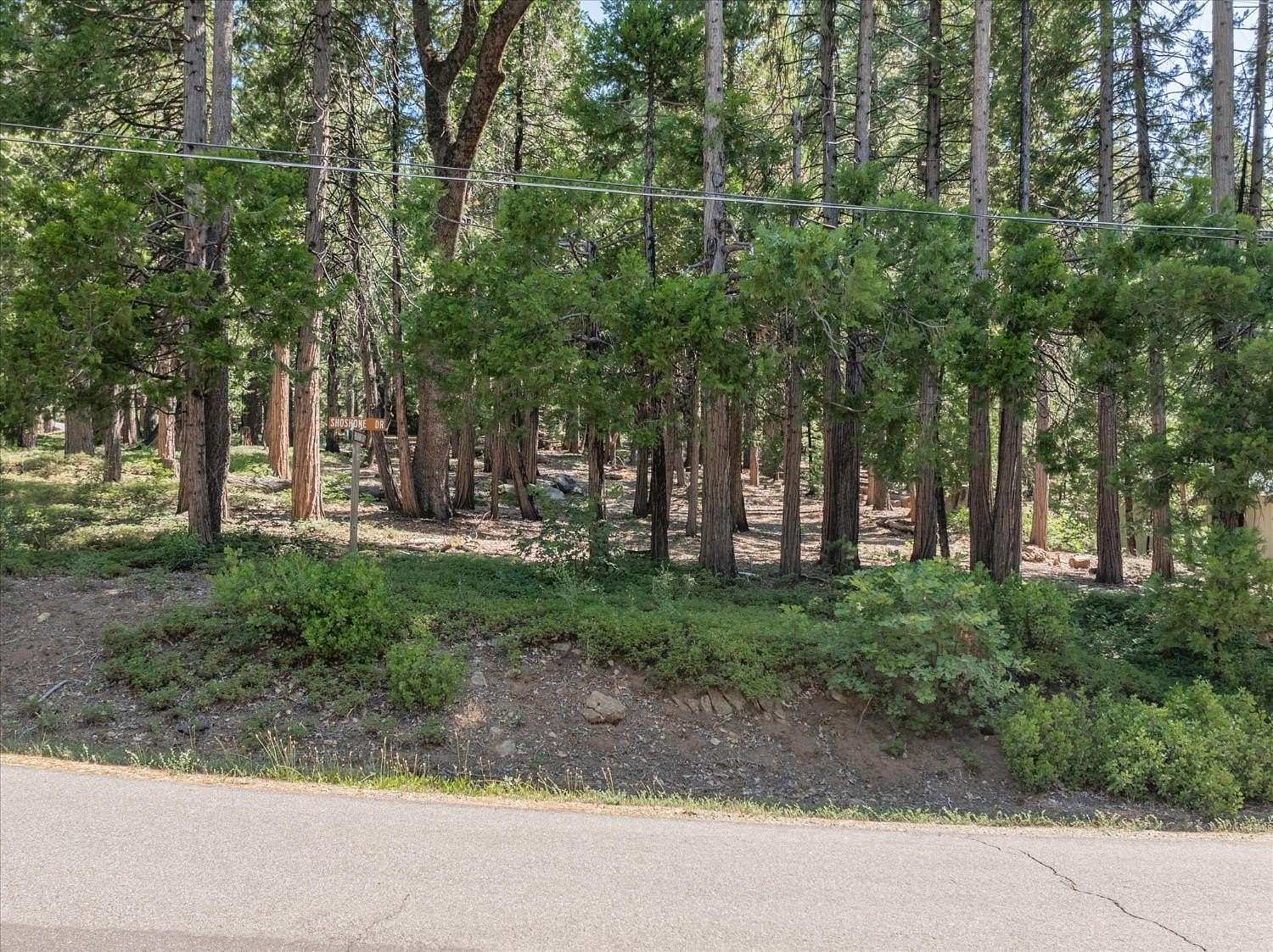 0.46 Acres of Residential Land for Sale in Camp Connell, California