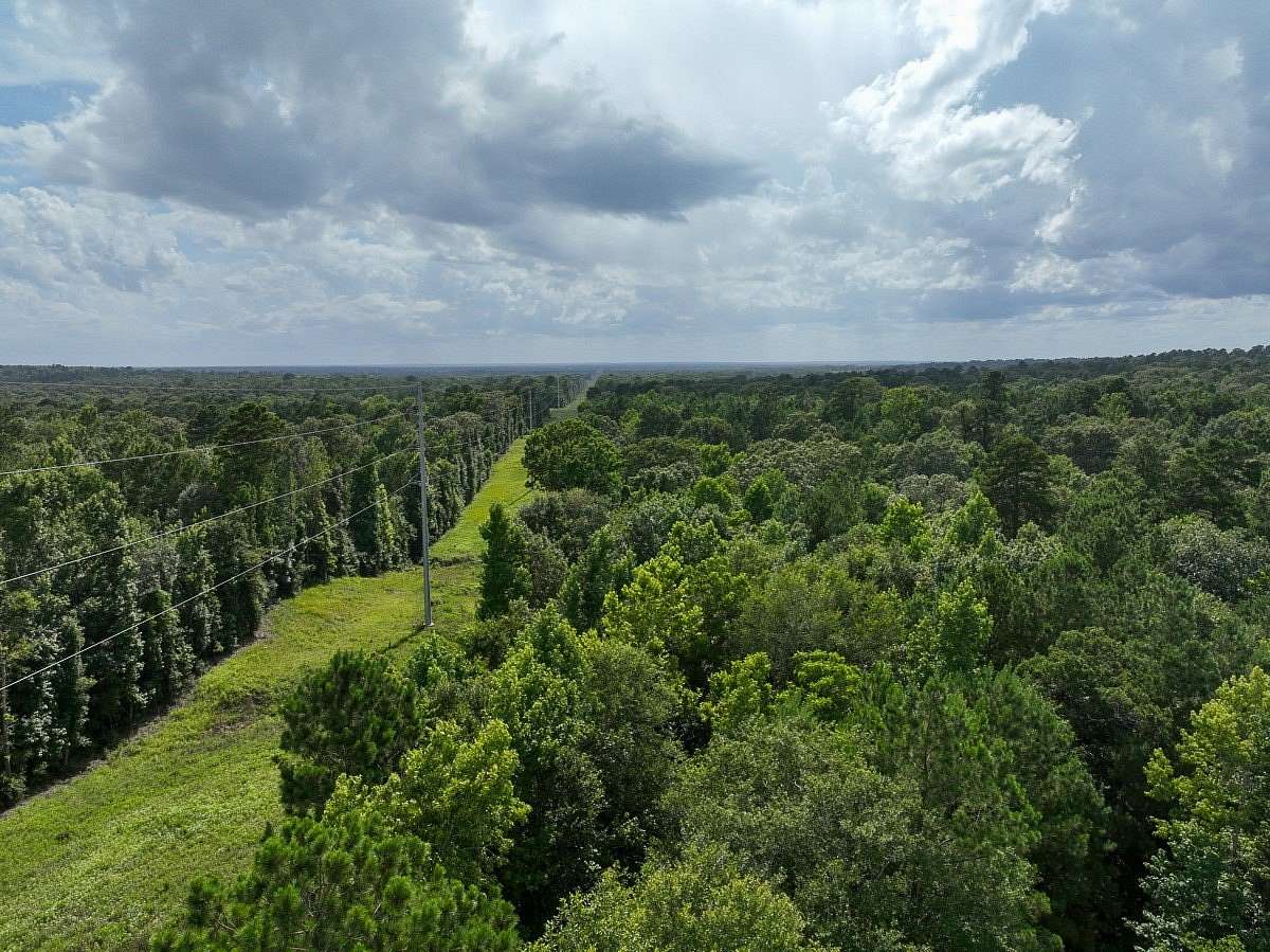 62.7 Acres of Recreational Land for Sale in Crockett, Texas