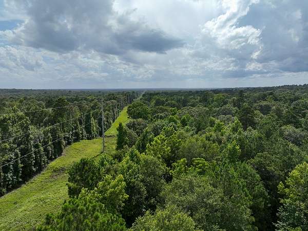 62.7 Acres of Recreational Land for Sale in Crockett, Texas