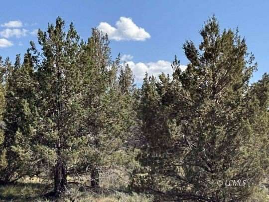 51.4 Acres of Agricultural Land for Sale in Beatty, Oregon