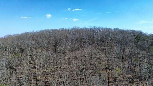 5.5 Acres of Residential Land for Sale in Charleston, Tennessee