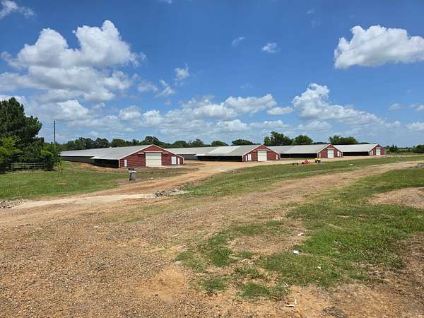 18.5 Acres of Land with Home for Sale in Naples, Texas