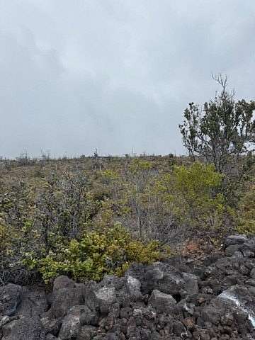 1 Acre of Land for Sale in Hawaiian Ocean View, Hawaii