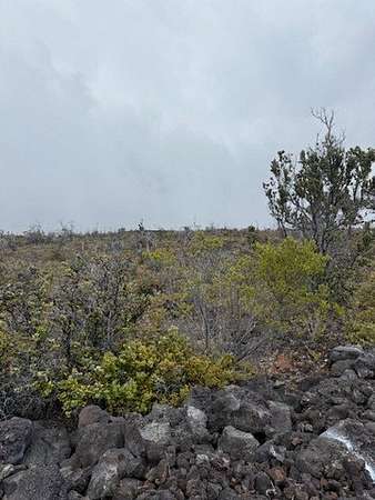 1 Acre of Land for Sale in Hawaiian Ocean View, Hawaii