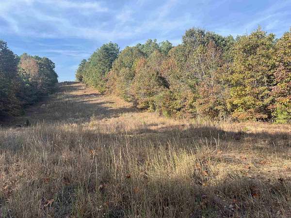 10.6 Acres of Land for Sale in Malvern, Arkansas