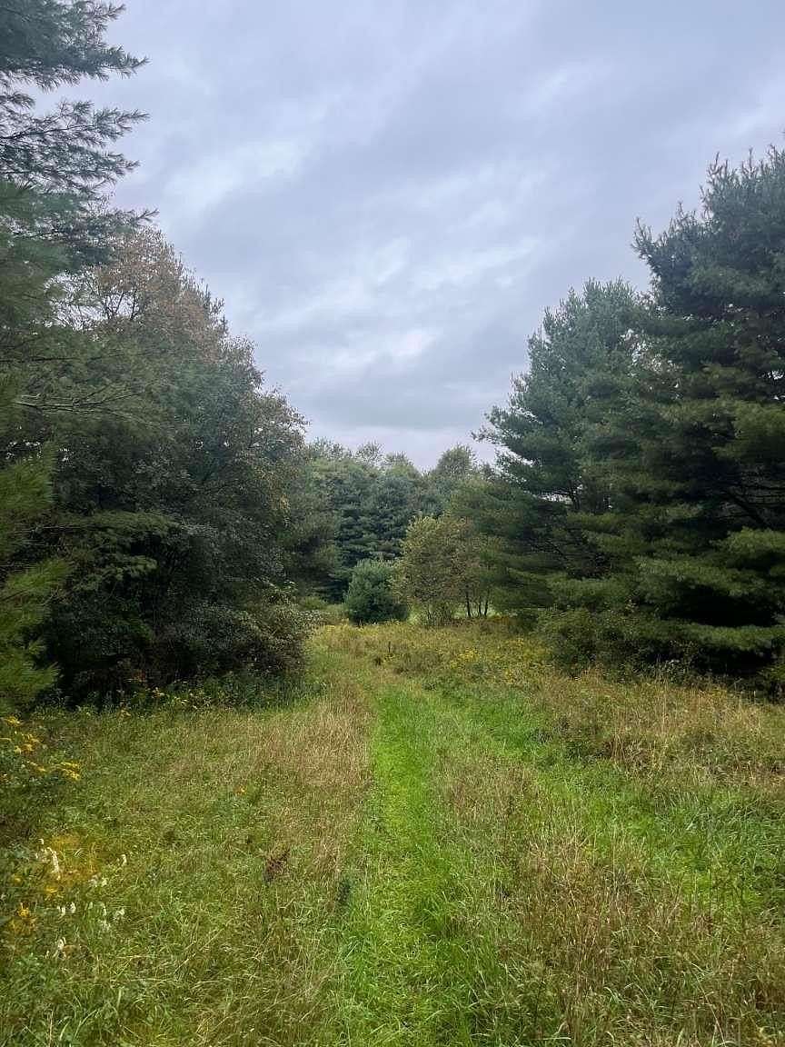 44.6 Acres of Land for Sale in East Montpelier, Vermont