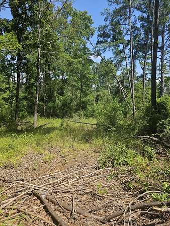 0.22 Acres of Residential Land for Sale in Flint, Texas