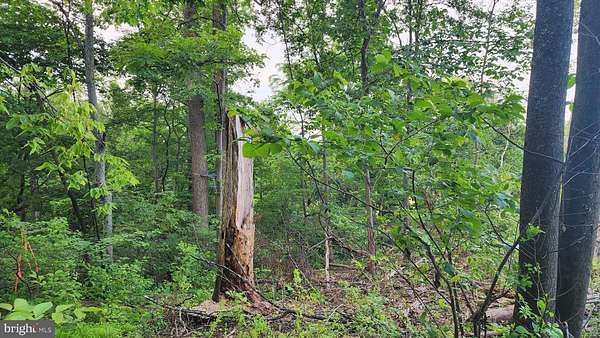 0.52 Acres of Residential Land for Sale in Fairfield, Pennsylvania